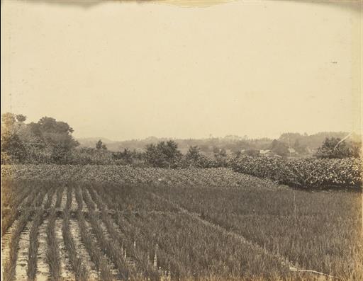 【村山貯水池】三光院より上方を望む