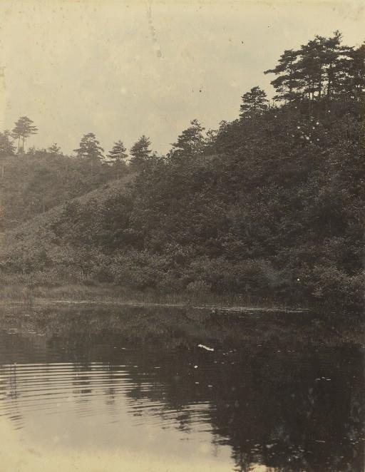 【村山貯水池】村山貯水池内狭山池