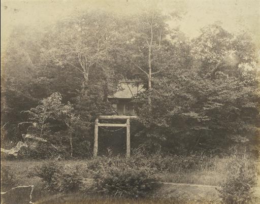 【村山貯水池】御領分神社