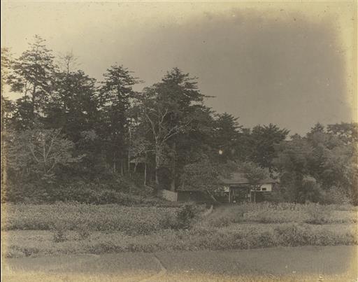 【村山貯水池】慶性院