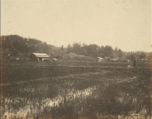 【村山貯水池】三光院付近