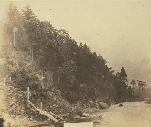 【水源林】吉野村量水標