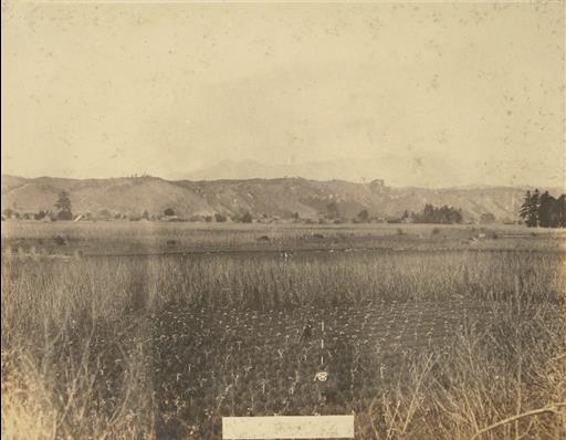 【その他】測量