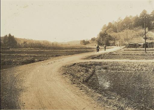 【山口貯水池】湖底に沈んだ県道所沢 八王子線