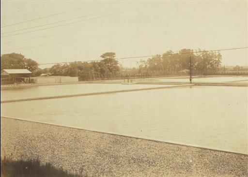 【金町浄水場】濾過池の一部