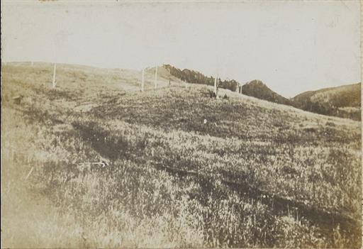 【水源林】神金村 萩原山の荒廃状況