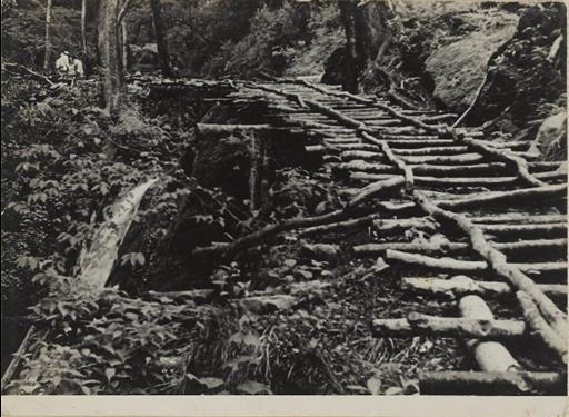 【水源林】丹波山村後山の橇道