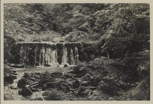 【水源林】水源の山々