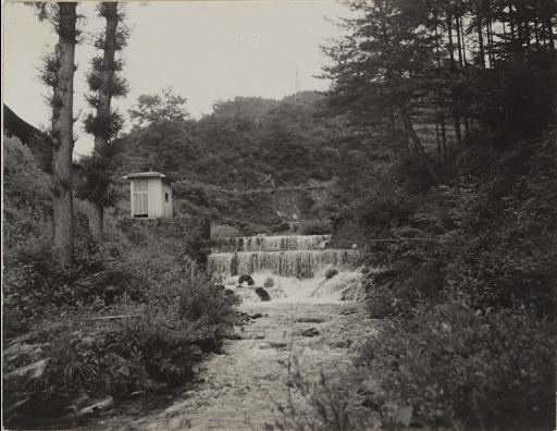 【水源林】萩原山地内