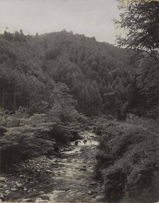 【水源林】多摩川の水源