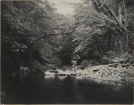 【水源林】植林及び水源の山々