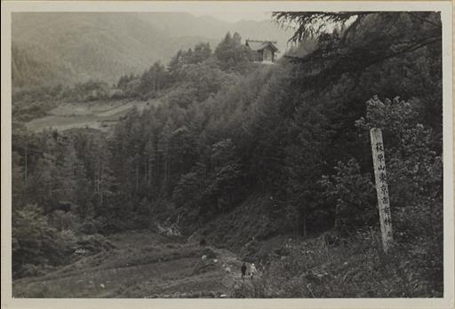 【水源林】水源の山々