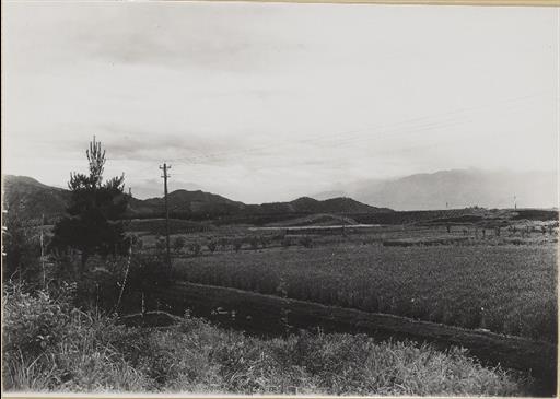 【小河内貯水池】清里村