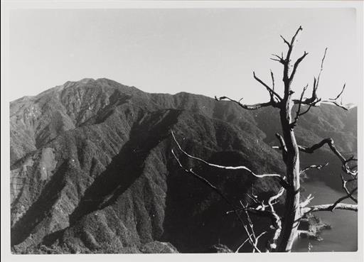 【小河内貯水池】奥多摩の山々