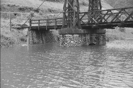 【小河内貯水池】湖に沈む橋