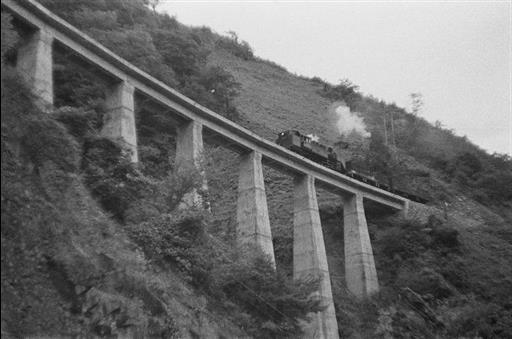 【小河内貯水池】資材運搬鉄道