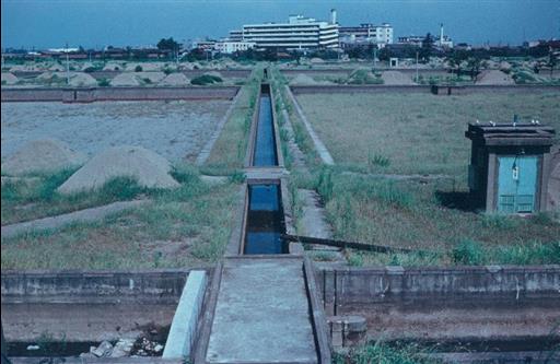 【淀橋浄水場】廃庁後のろ過池