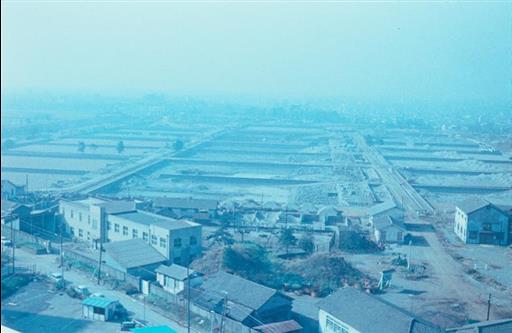 【淀橋浄水場】廃庁後のろ過池
