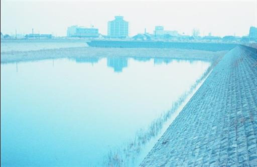 【淀橋浄水場】廃庁後の沈殿池