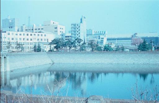 【淀橋浄水場】廃庁後の沈殿池