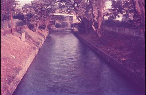 【玉川上水】上水路 奥に芥留め