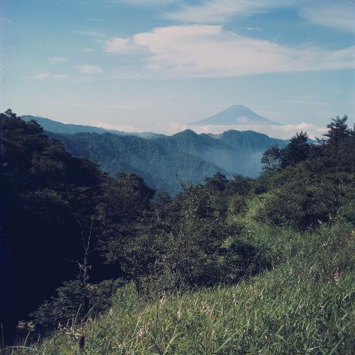 【水源林】風景