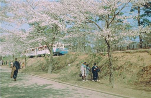 【その他】西武山口線か