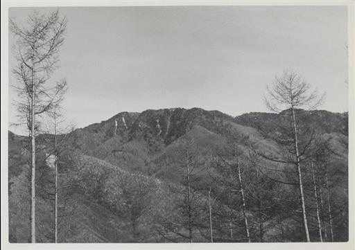 【水源林】犬切峠からの唐松尾山