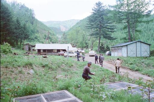 【水源林】泉水谷小屋前か