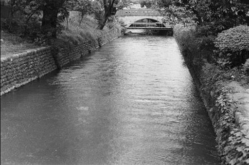 【玉川上水】上水路