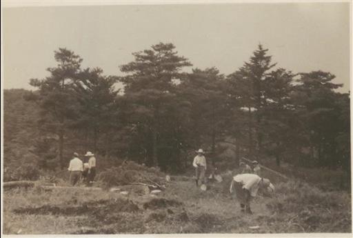 【長沢浄水場】敷地内立木処分作業