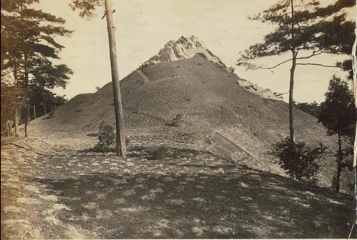 【山口貯水池】狭山富士