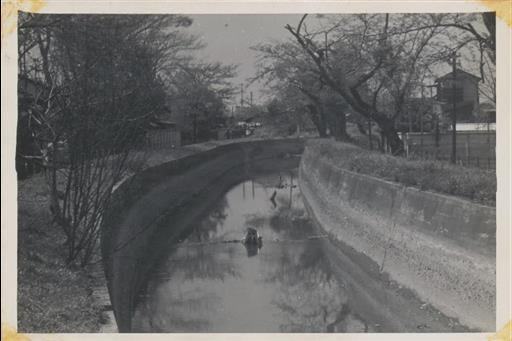 【玉川上水】上水路