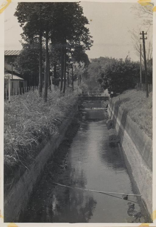【玉川上水】久我山水衛所をのぞむ