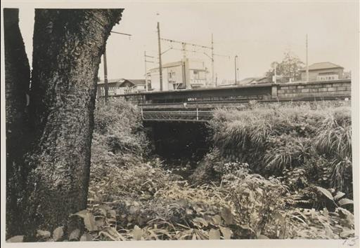 【玉川上水】三鷹駅付近