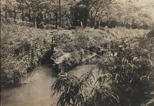 【玉川上水】千川分水旧分水口