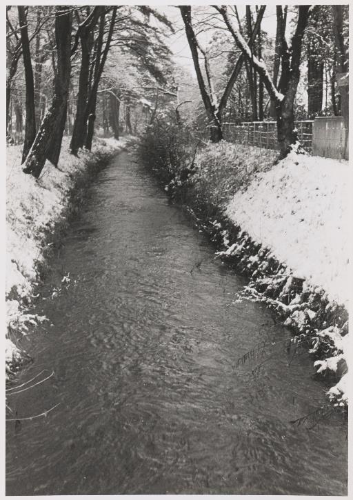 【玉川上水】上水路 万助橋下流