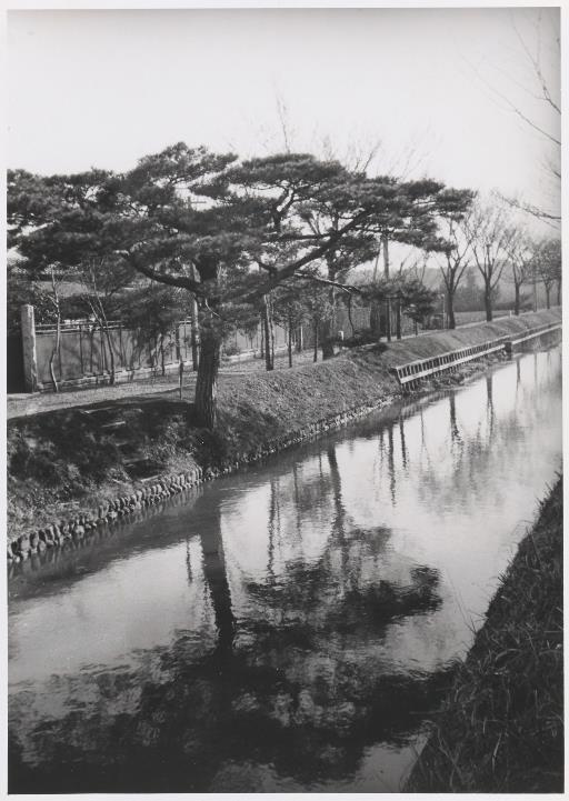 【玉川上水】上水路