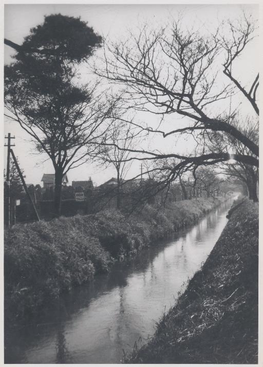【玉川上水】上水路