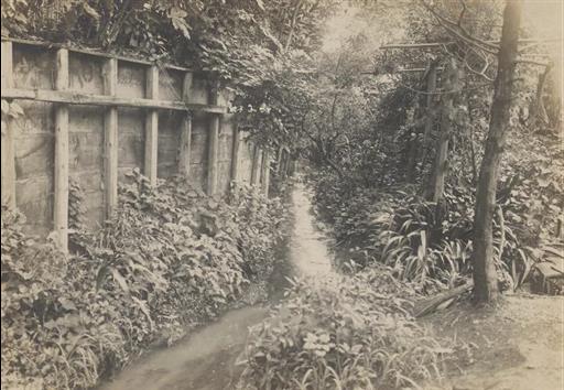【玉川上水】上水路