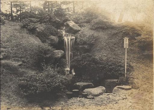 【その他】東光園による滝