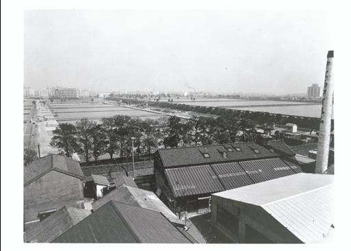 【淀橋浄水場】ろ過池と沈殿池