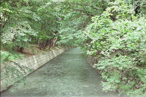 【玉川上水】上水路