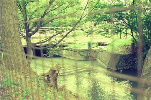 【玉川上水】上水路