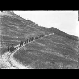 水源林】無立木地状態の笠取山付近 - 東京都水道歴史館デジタル