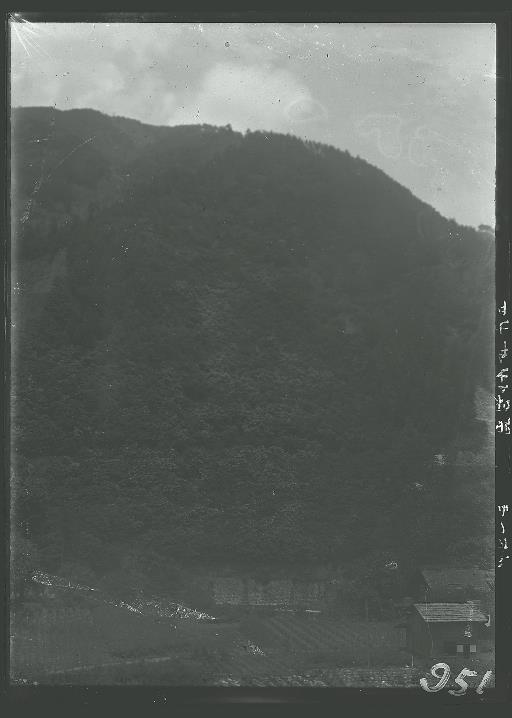 【水源林】塩ノ山か