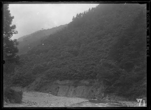 【水源林】丹波山村塩ノ山