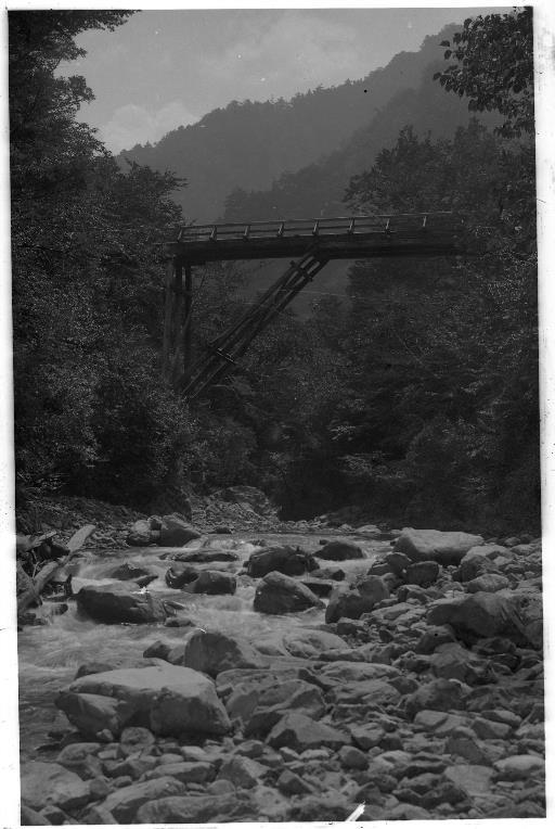 【水源林】水源地風景