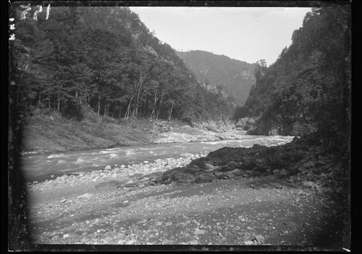 【水源林】多摩川本流の渓谷（数馬付近か）
