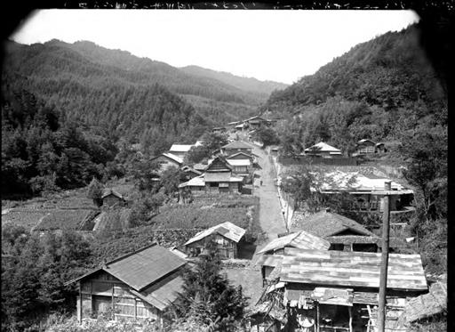 【水源林】落合付近造林の成績 大正三年植え 27年目